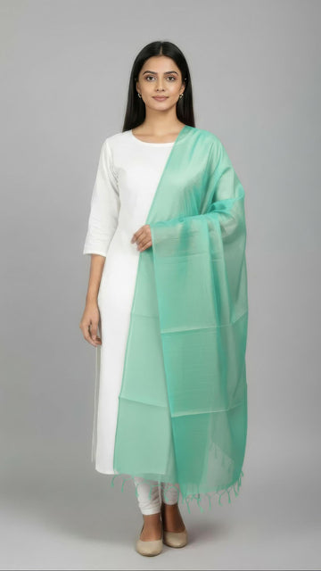 Light Teal Green Banarasi Plain Dupatta - 2.5 Mtr