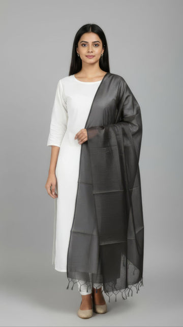 Grey Banarasi Plain Dupatta - 2.5 Mtr